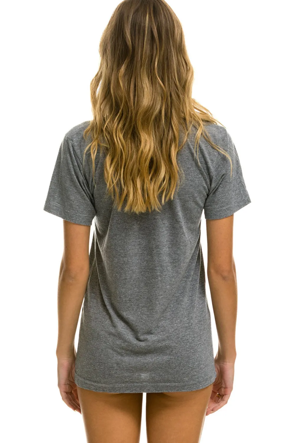 Tees | Tees | Aviator Nation VAIL TEE - HEATHER