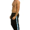 Sweatpants | Aviator Nation TIGER STRIPE SWEATPANTS - BLACK // BLUE TIGER BLACK//BLUETIGER