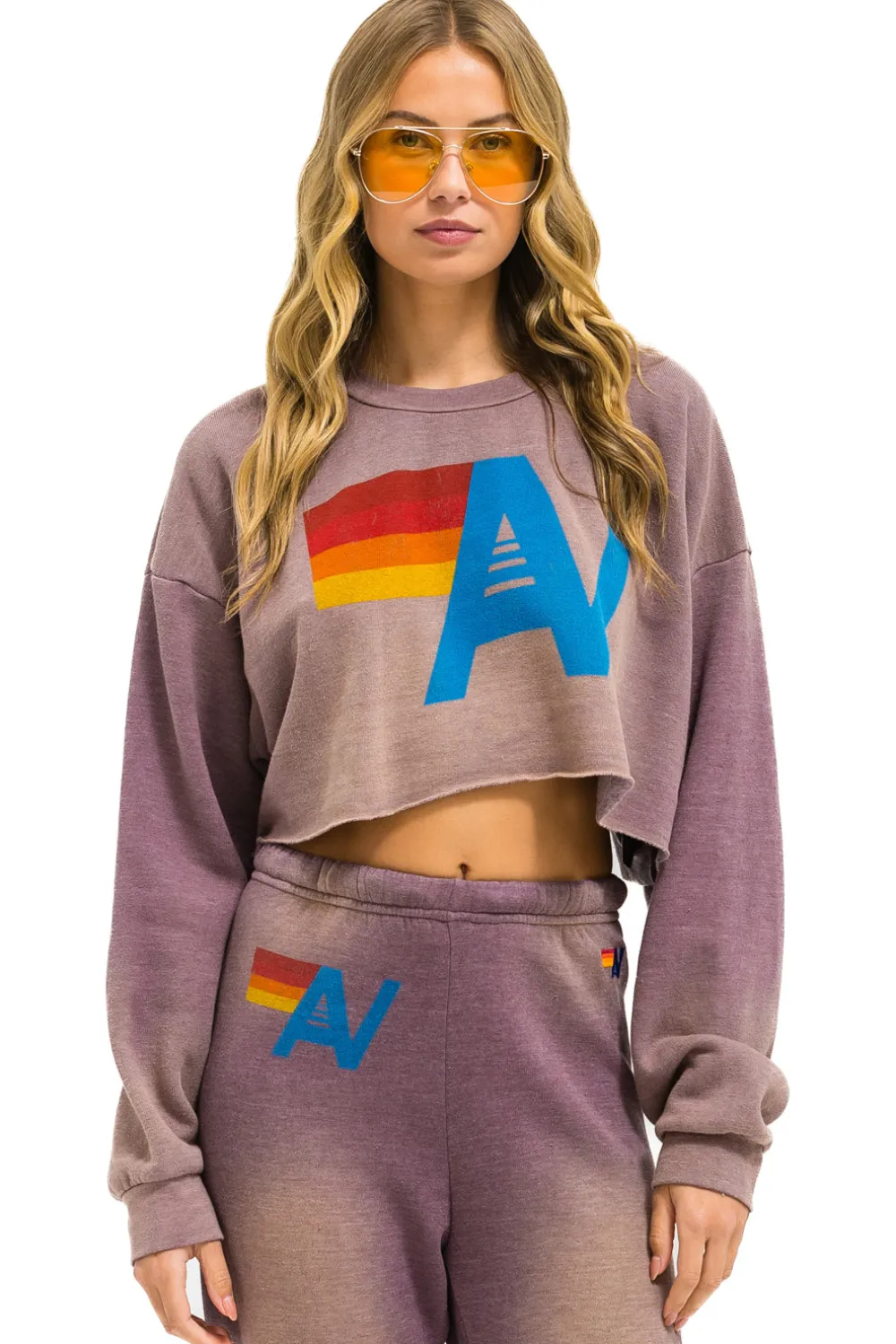 Sweatshirts | Aviator Nation VINTAGE LOGO CROPPED CREW SWEATSHIRT RELAXED - FADED MOCHA FADEDMOCHA